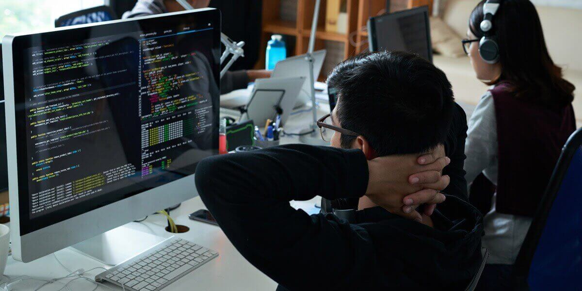 WEB Developer