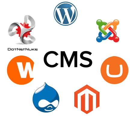 Customized Website Design and Development