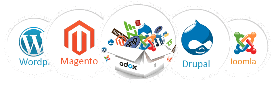 Customized Website Design and Development